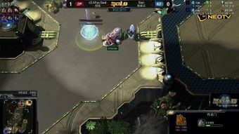 Macsed人族打法深度拆解，职业实战复盘+新手进阶技巧，怎么吃透稳扎稳打的胜利逻辑？