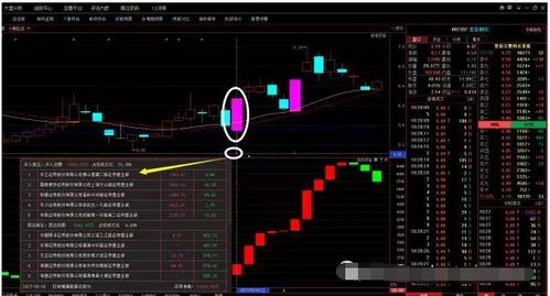 艾尔登法环棺材板怎么选？2种类型拆解、全位置及追忆复制避坑指南