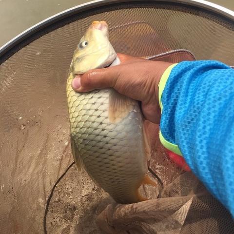 激战2切线机制全揭秘，怎么切、选对刷事件效率翻3倍？