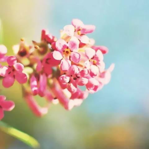 征服世界游戏旅程类型深度拆解，匹配热门需求，解锁专属通关流派的实战攻略