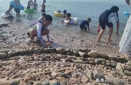 青岛海边捡钻石玛瑙？官方辟谣+捡石人实战指南，别被暴富梦带偏