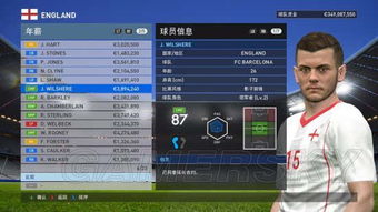 全明星阵容怎么搭？3大核心类型拆解+热门需求精准匹配攻略