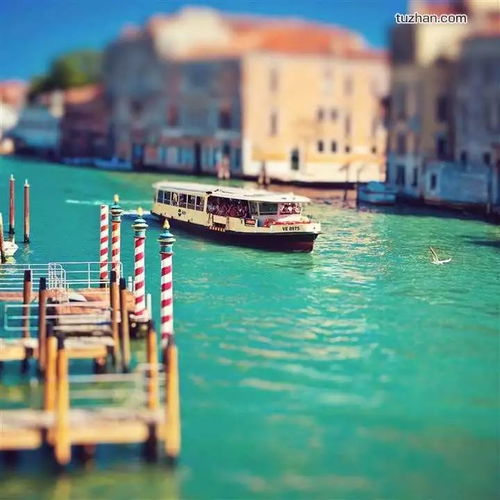 威尼斯海滩怎么玩才不踩坑？冲浪进阶、潮玩、亲子的专属深度指南