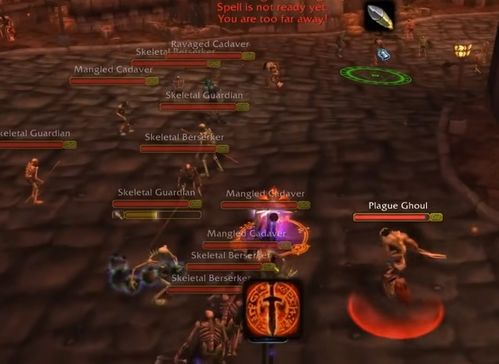 女圣骑流派怎么选？2026年奶辅/审判热门需求匹配+冷门实战技巧全解析