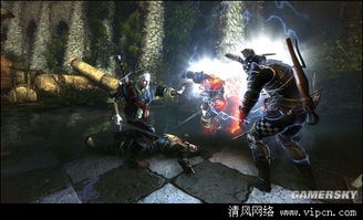 巫师2，国王刺客怎么玩爽？阵营抉择、战斗神技、隐藏装备全揭秘