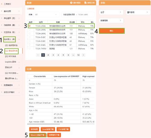 pwd.sdo.com独家实操攻略，搞定盛大系游戏密码找回与账号安全全痛点