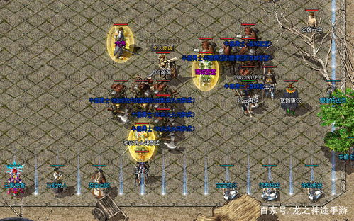 神界2，龙骑士传奇深度指南，新手避坑、龙形态玩法与隐藏结局全解锁