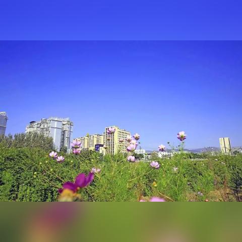 2026天堂网玩家硬核指南，复古服开荒通关+交易避坑全解析