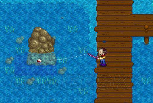 星露谷物语钓鱼全类型实战攻略，新手速成+稀有鱼精准钓获秘籍