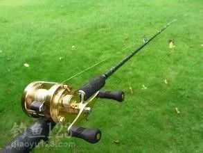 纳特的好运鱼竿真的是钓鱼天花板？2026年热门需求适配+实战全指南