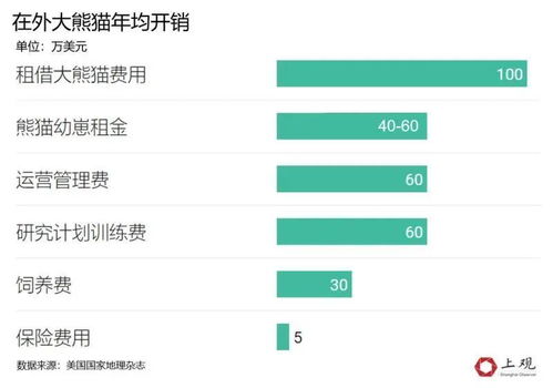 886/887类型搬砖号真的能躺赚？起号、养号、变现全解析