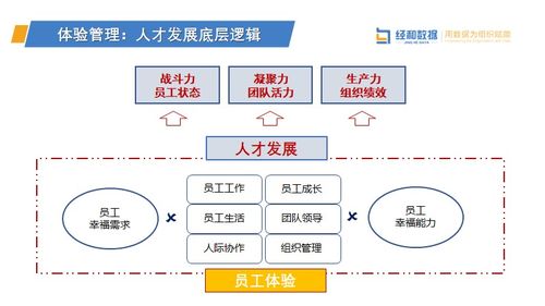 一、天堂2职业核心分类，从机制到定位，搞懂底层逻辑再选