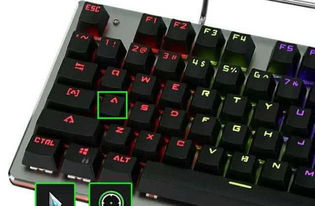 固态按键全类型拆解，电竞玩家必看的选购、改装与性能优化指南