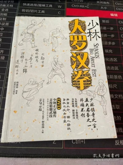九阴真经罗汉拳全攻略，被低估的少林神拳，入门/连招/实战克制一网打尽