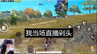 不朽之城硬核生存指南，新手零翻车建城/防抄家/资源速刷全解析（附2026实操数据）