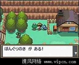 宝可梦金心银魂玩透指南，双地图通关、神兽捕捉与对战塔冲分全解析