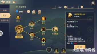 2026艾尔之光澄全攻略，炮击/追击系怎么选？新手进阶实战指南