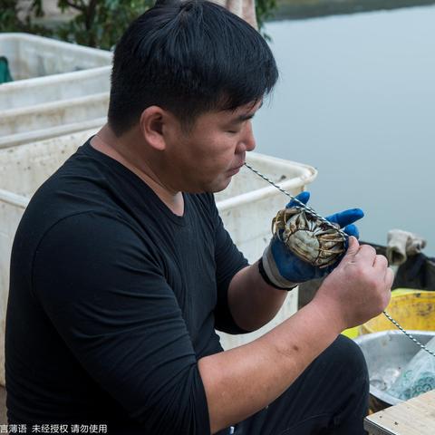 DNF2012复古版怎么玩爽？职业推荐、副本攻略、搬砖技巧全揭秘