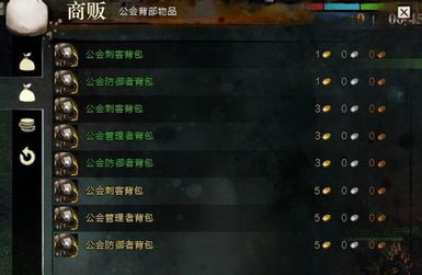 激战2人类升级路线怎么选？新手/冲级党/休闲党专属高效攻略2026