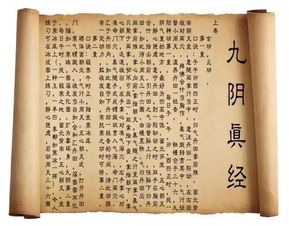 九阴真经少林五内洗髓经怎么玩？修炼、搭配、实战全维度干货指南