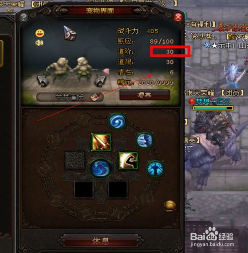 斗战神宠物进化技全类型解析，适配2026热门流派，平民/氪金精准避坑指南