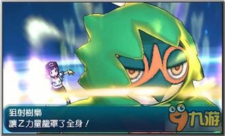 口袋妖怪钻石二周目终极进阶指南，神兽捕捉/图鉴补全/对战塔冲层全解析