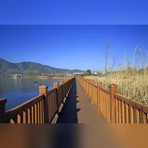 天堂类MMORPG玩不懂？2026新手开荒、职业选择与搬砖实战全解析