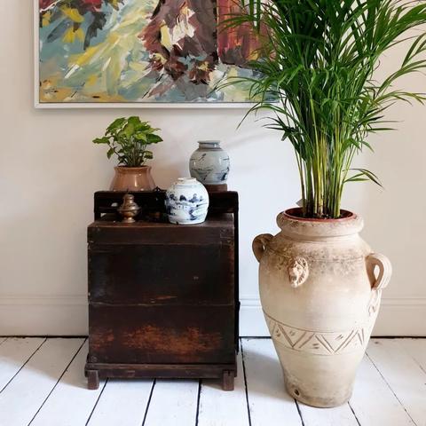 红蜘蛛下载避坑指南，正版游戏/合法辅助怎么找？附2026年最新安全源