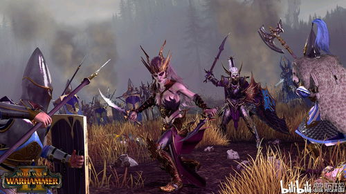 战锤全面战争2新手避坑指南，实测派系优先级+后期破局+传奇通关秘籍