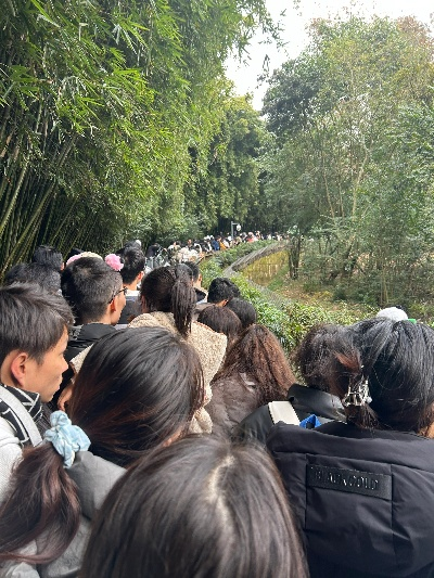 排队2小时看3分钟的花花值吗？资深蹲花人私藏的避坑&高效攻略