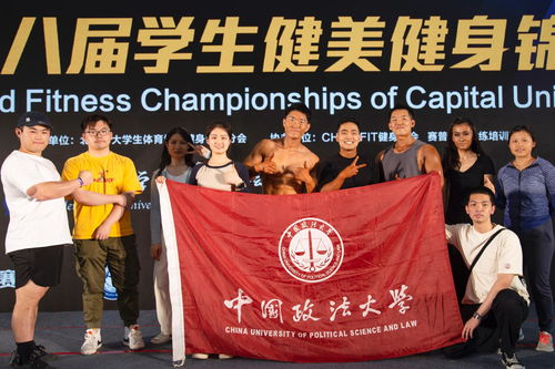 独家解析黄金守望锦标赛，参赛门槛、夺冠门道与观赛核心指南