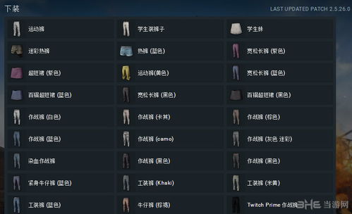 2026年国服绝地求生何时上线？匹配优化/过审细节等核心需求全解析