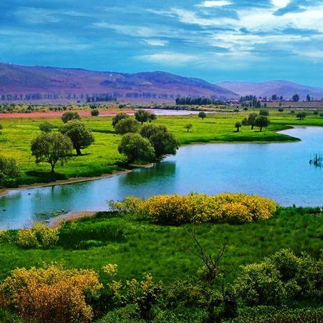 游戏色宝库4大类型拆解，新手如何精准匹配刚需外观与MOD资源？