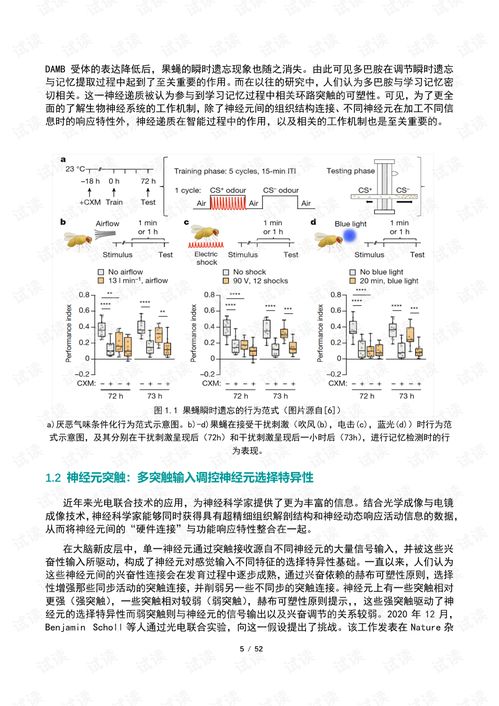 阿达脑训练真能提升专注力？AI自适应认知增益全场景实战解析
