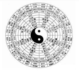 石器时代名字怎么取？4大类型拆解+热门需求匹配，附2026年玩家偏好数据