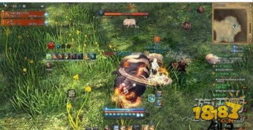 剑灵奇怪的少女深度攻略，触发秘辛、隐藏奖励与剧情暗线全揭秘