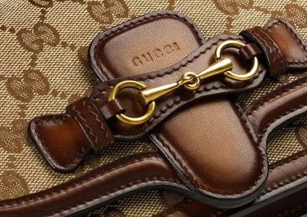 银龙马具全类型拆解，2026年入手哪款最适配马术训练/休闲骑乘需求？