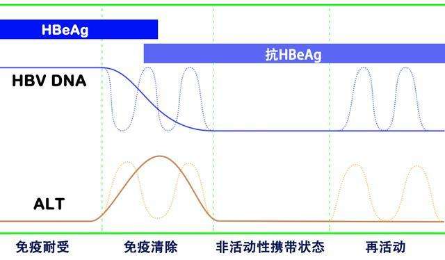 2026年路亚钓法类型全梳理，新手选哪种适配场景广、上鱼率更高？