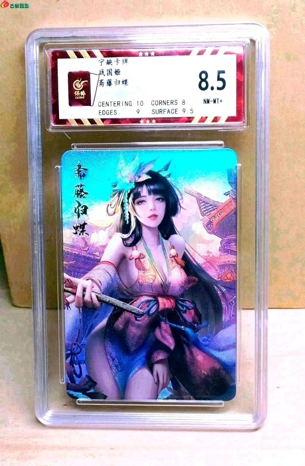 2026全平台斋藤归蝶强度测评+适配阵容推荐，零氪能不能练？