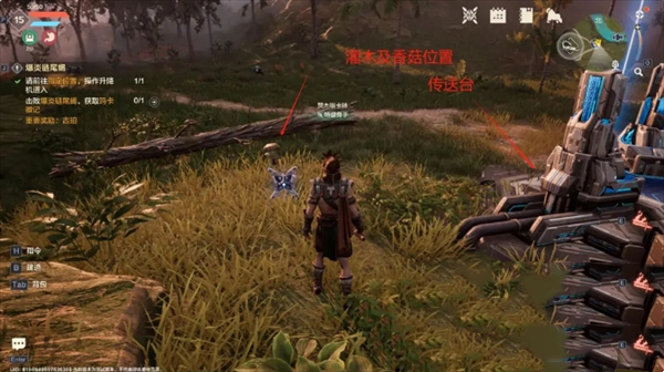 2026荒潮，异星纪元藤香全类型解析，哪种藤香能速刷营地亲密度？