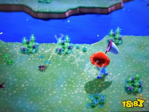 2026动森满月岛怎么进？稀有狼蛛刷新点位+零成本速刷技巧全解