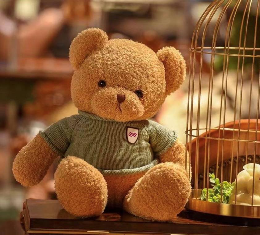 2026年热门毛绒熊类型盘点，不同需求怎么挑才不花冤枉钱？